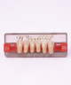 WIEDENT ESTETIC LOWER ANTERIORS SHADE D4