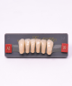 WIEDENT ESTETIC LOWER ANTERIORS SHADE A2