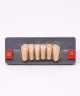 WIEDENT ESTETIC LOWER ANTERIORS SHADE B3