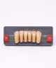 WIEDENT ESTETIC LOWER ANTERIORS SHADE B4