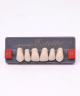 WIEDENT ESTETIC UPPER ANTERIORS SHADE A1