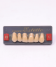 WIEDENT ESTETIC UPPER ANTERIORS SHADE B3