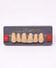 WIEDENT ESTETIC UPPER ANTERIORS SHADE B4