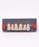 WIEDENT ESTETIC UPPER ANTERIORS SHADE C1