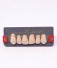 WIEDENT ESTETIC UPPER ANTERIORS SHADE A2