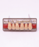 WIEDENT ESTETIC UPPER ANTERIORS SHADE A3.5