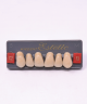 WIEDENT ESTETIC UPPER ANTERIORS SHADE C2