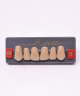 WIEDENT ESTETIC UPPER ANTERIORS SHADE C4