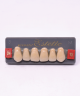 WIEDENT ESTETIC UPPER ANTERIORS SHADE D4