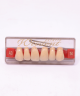 WIEDENT ESTETIC UPPER ANTERIORS SHADE A3