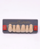 WIEDENT ESTETIC UPPER ANTERIORS SHADE C2