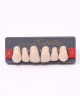 WIEDENT ESTETIC UPPER ANTERIORS SHADE A1