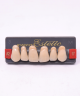 WIEDENT ESTETIC UPPER ANTERIORS SHADE A2