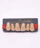 WIEDENT ESTETIC UPPER ANTERIORS SHADE A4