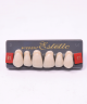 WIEDENT ESTETIC UPPER ANTERIORS SHADE B1