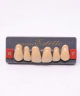 WIEDENT ESTETIC UPPER ANTERIORS SHADE B3