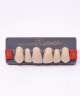 WIEDENT ESTETIC UPPER ANTERIORS SHADE C1