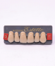 WIEDENT ESTETIC UPPER ANTERIORS SHADE C3