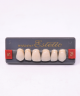 WIEDENT ESTETIC UPPER ANTERIORS SHADE A1