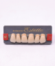 WIEDENT ESTETIC UPPER ANTERIORS SHADE A2