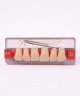 WIEDENT ESTETIC UPPER ANTERIORS SHADE A3