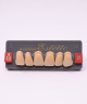 WIEDENT ESTETIC UPPER ANTERIORS SHADE A3.5