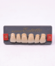 WIEDENT ESTETIC UPPER ANTERIORS SHADE C2