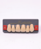 WIEDENT ESTETIC UPPER ANTERIORS SHADE A3