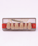 WIEDENT ESTETIC UPPER ANTERIORS SHADE C4