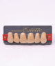 WIEDENT ESTETIC UPPER ANTERIORS SHADE A4