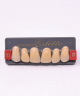 WIEDENT ESTETIC UPPER ANTERIORS SHADE B3