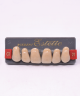 WIEDENT ESTETIC UPPER ANTERIORS SHADE C2