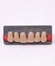 WIEDENT ESTETIC UPPER ANTERIORS SHADE C3