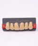 WIEDENT ESTETIC UPPER ANTERIORS SHADE C4