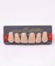 WIEDENT ESTETIC UPPER ANTERIORS SHADE D3