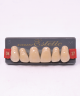 WIEDENT ESTETIC UPPER ANTERIORS SHADE D4