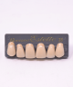 WIEDENT ESTETIC UPPER ANTERIORS SHADE A2