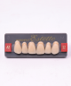 WIEDENT ESTETIC UPPER ANTERIORS SHADE A2