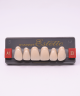 WIEDENT ESTETIC UPPER ANTERIORS SHADE A1