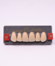 WIEDENT ESTETIC UPPER ANTERIORS SHADE A2