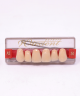 WIEDENT ESTETIC UPPER ANTERIORS SHADE A3