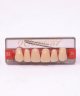 WIEDENT ESTETIC UPPER ANTERIORS SHADE B3