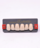 WIEDENT ESTETIC UPPER ANTERIORS SHADE A1