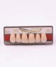 WIEDENT ESTETIC UPPER ANTERIORS SHADE D3