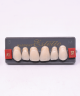 WIEDENT ESTETIC UPPER ANTERIORS SHADE A1