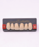 WIEDENT ESTETIC UPPER ANTERIORS SHADE B2