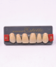 WIEDENT ESTETIC UPPER ANTERIORS SHADE B3