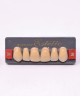 WIEDENT ESTETIC UPPER ANTERIORS SHADE B4