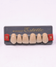 WIEDENT ESTETIC UPPER ANTERIORS SHADE C3