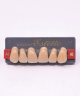 WIEDENT ESTETIC UPPER ANTERIORS SHADE A4